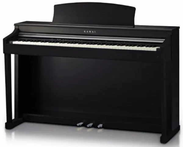 CN33 black