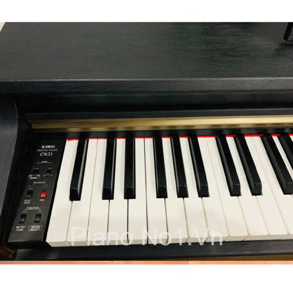kawai-cn21