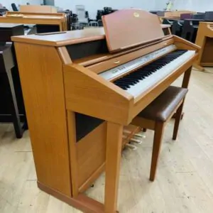 kawai pw9