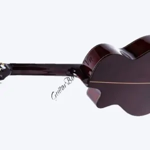 dan guitar classic c 170 j mat sau 2