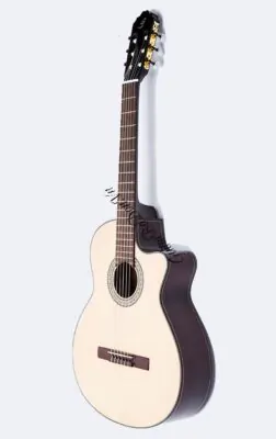 đàn guitar classic badon c170J