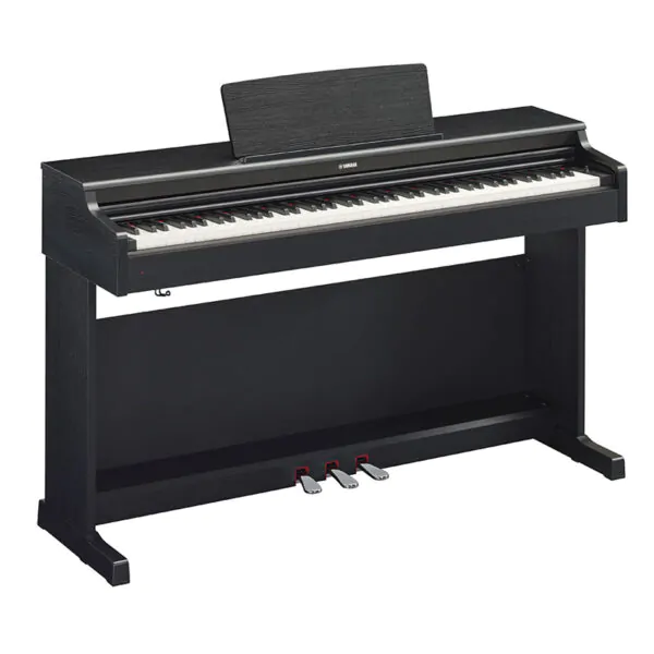 YDP-164