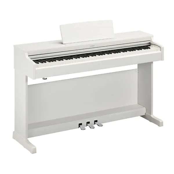 YDP-164