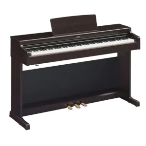 YDP-164