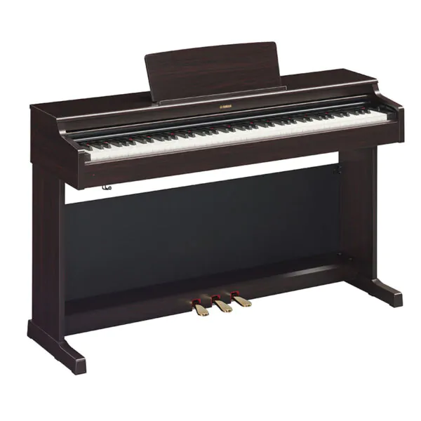 YDP-164