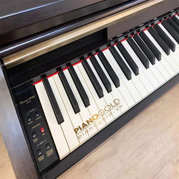 Kawai ca13