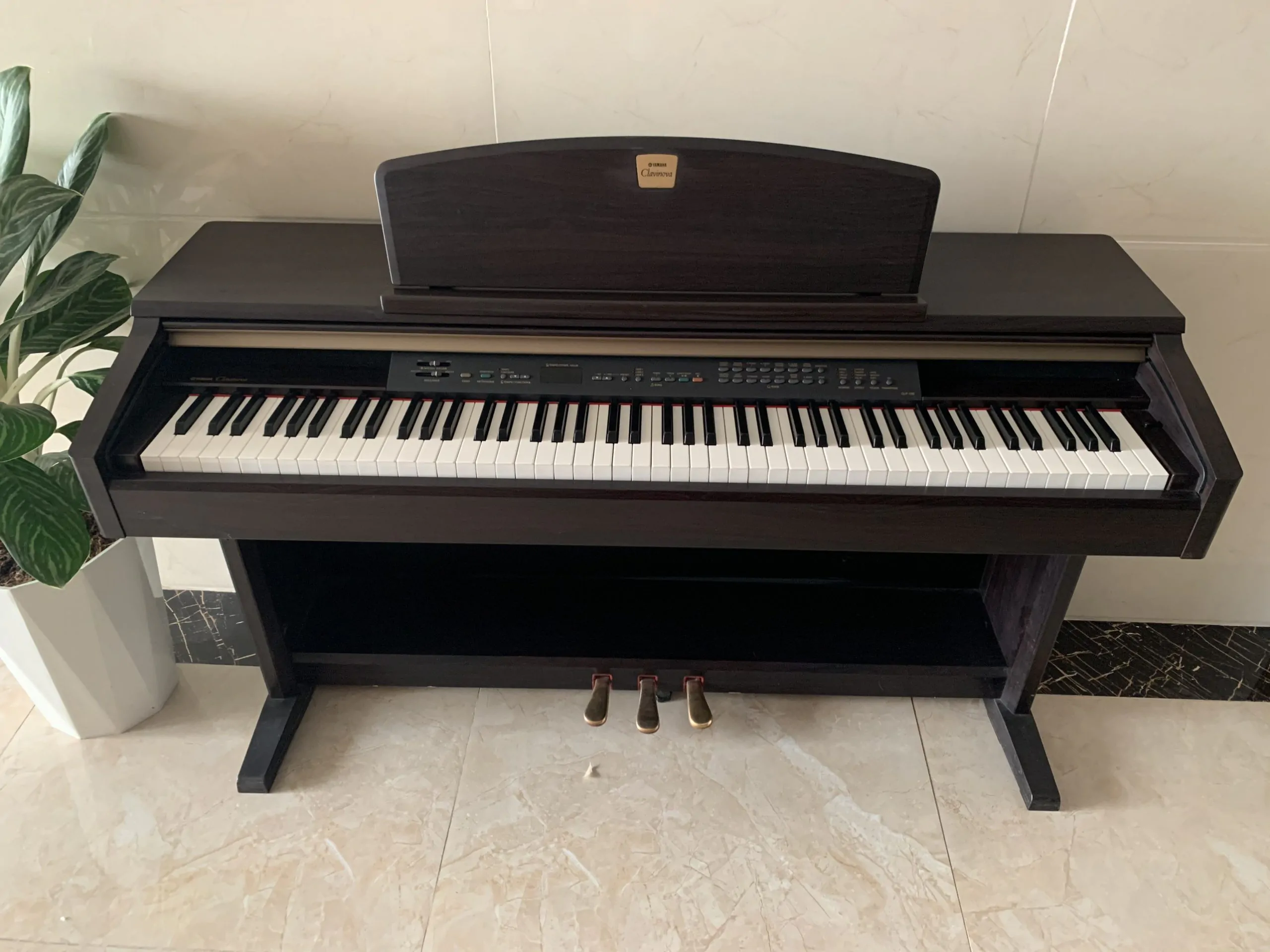 clp130 2