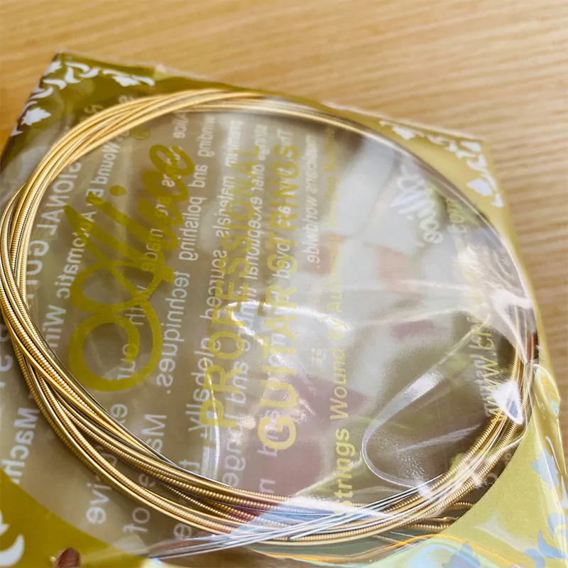 Day dan guitar Alice AW432 3