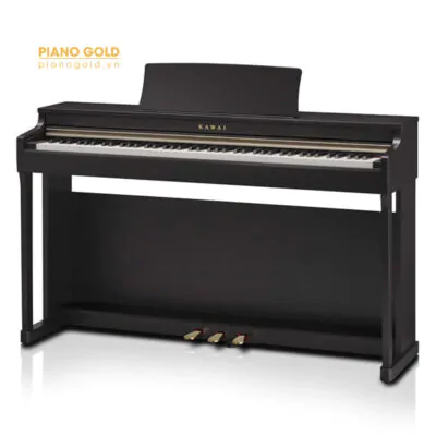 Kawai cn25