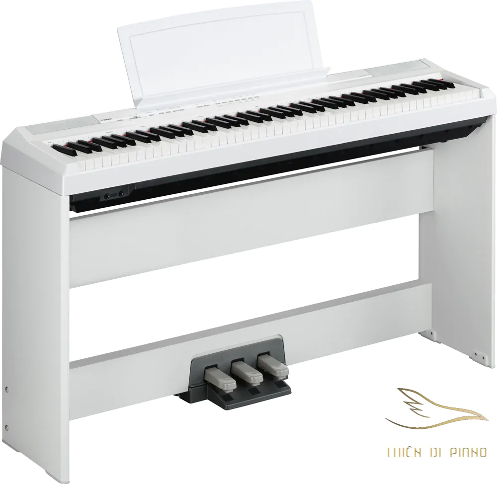 Đàn Piano Yamaha P105